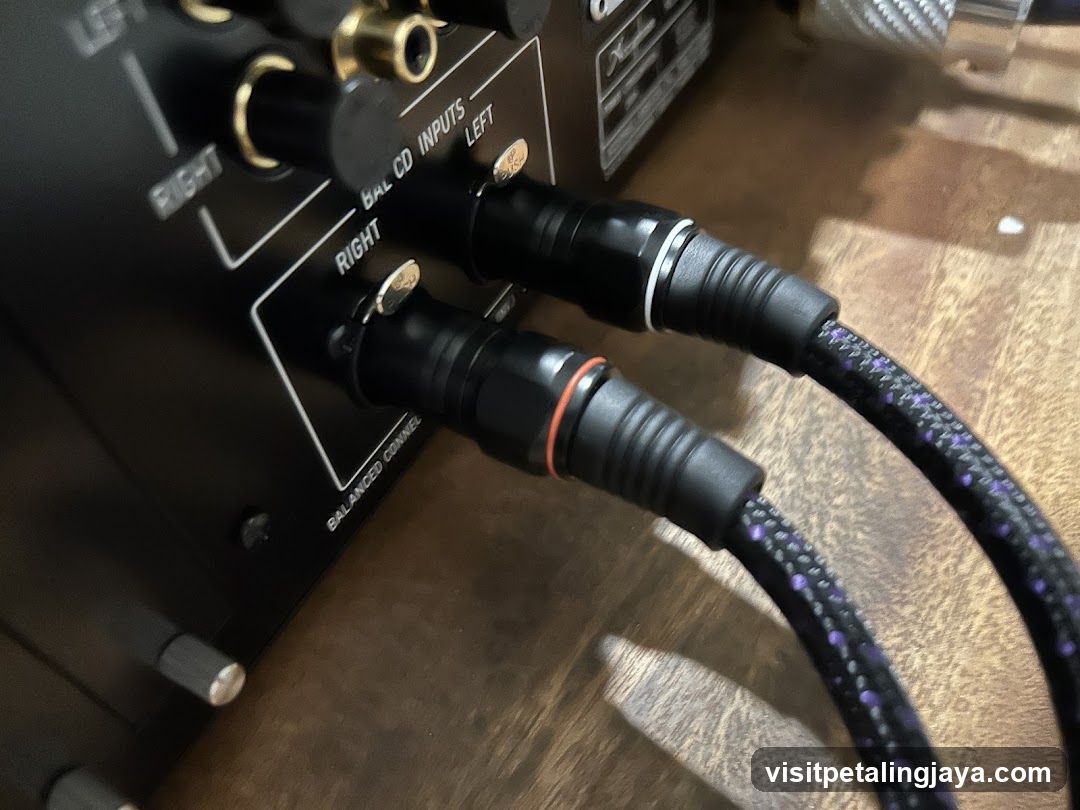 Audio Equipment Back Panel with Balanced Inputs