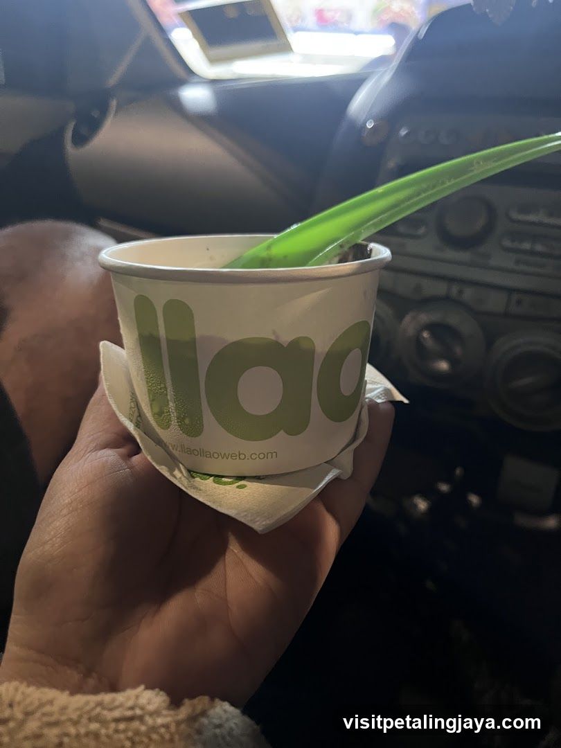 Laola Cup in Car Interior
