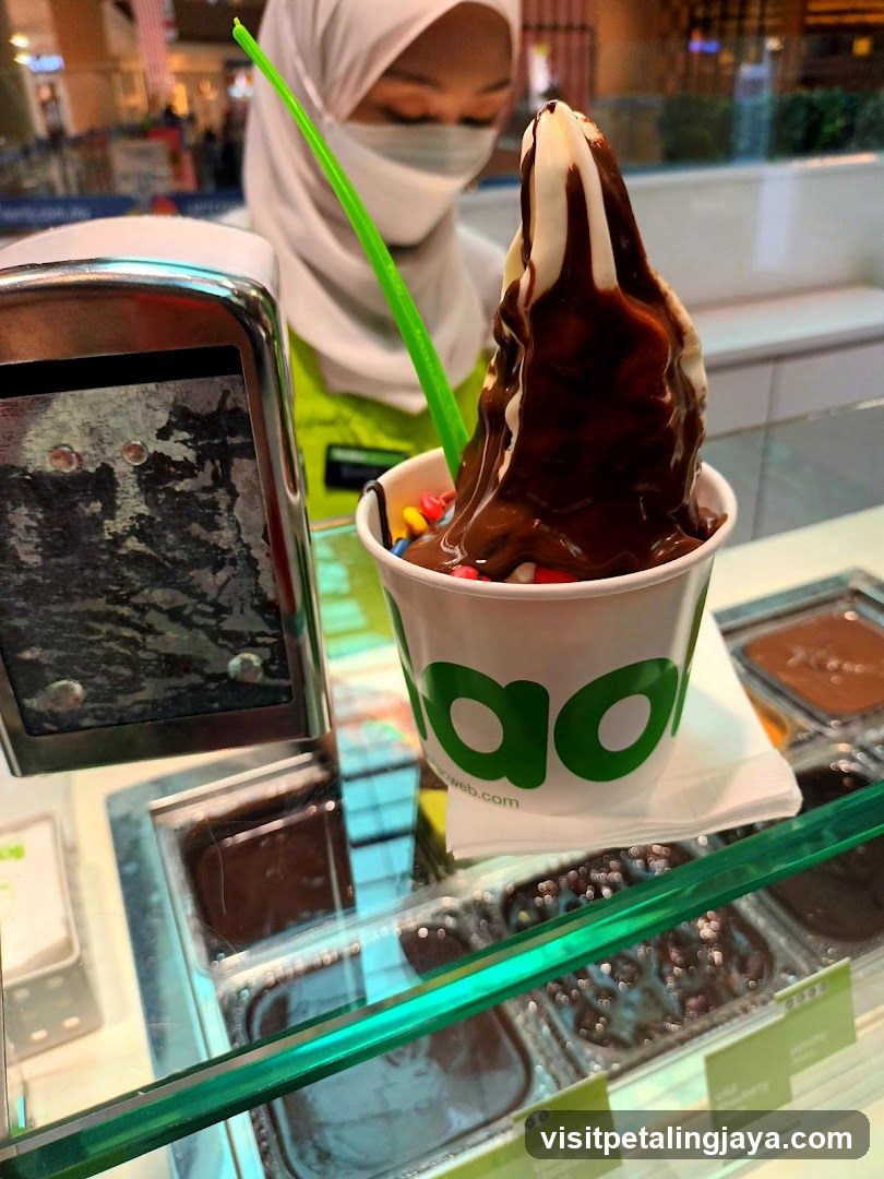 Chocolate Ice Cream Cup with Toppings
