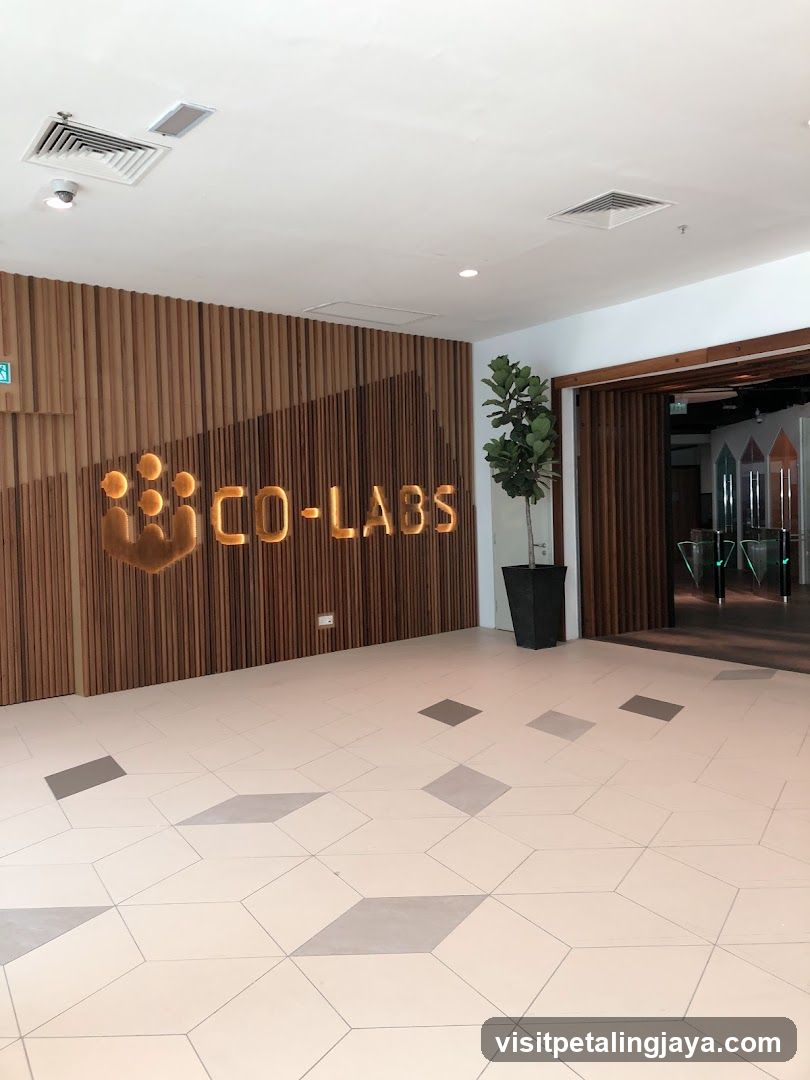 Co-labs Coworking The Starling