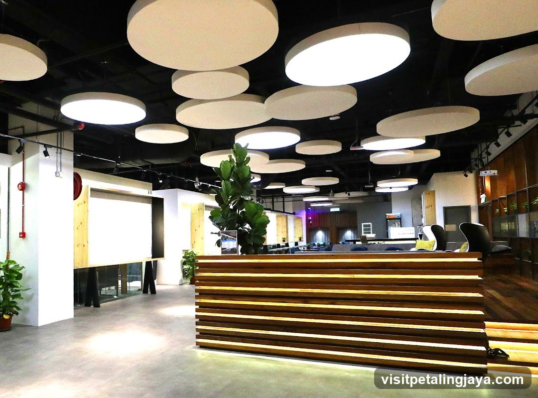 Modern Office Interior with Suspended Lighting