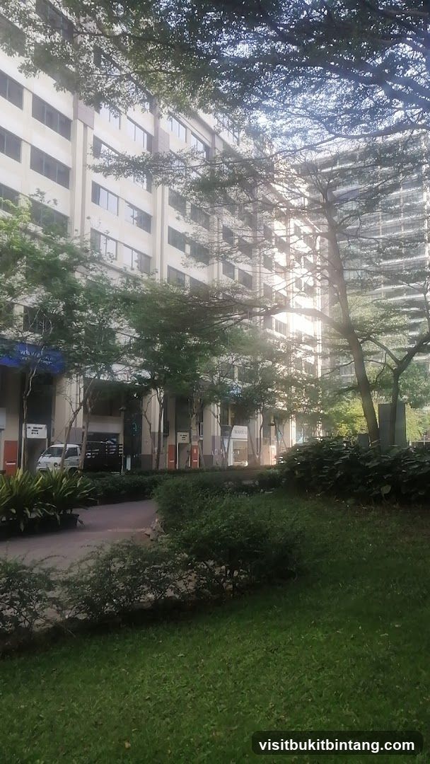 Outdoor walkway with trees and buildings