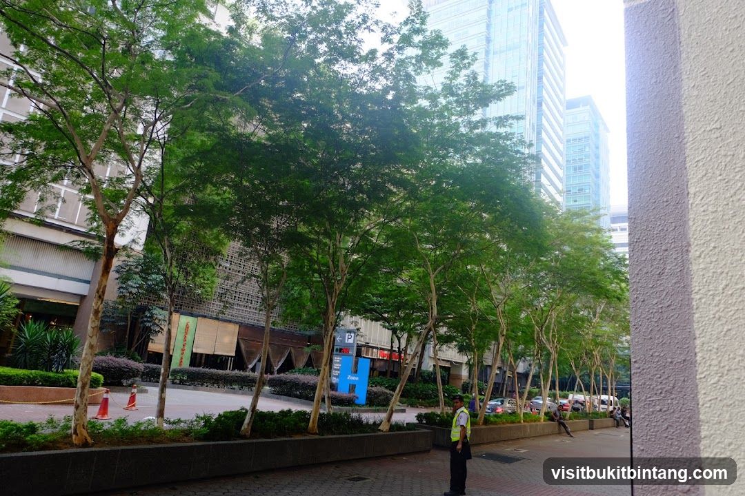 Urban street with trees and modern buildings