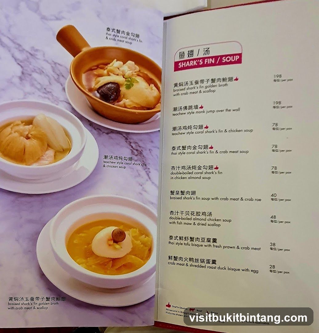 SHARK'S FIN / SOUP