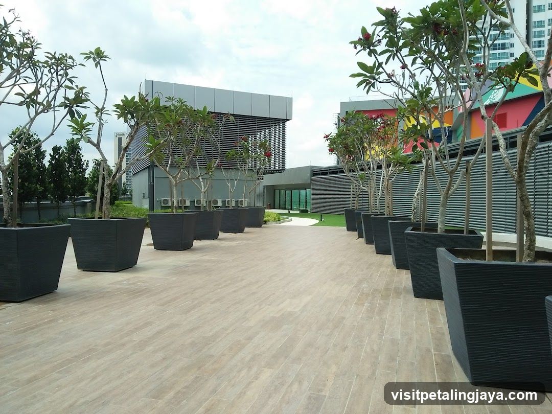 Outdoor Terrace with Potted Trees