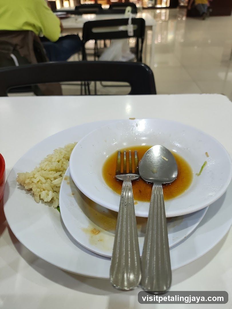 Dish with Rice and Sauce