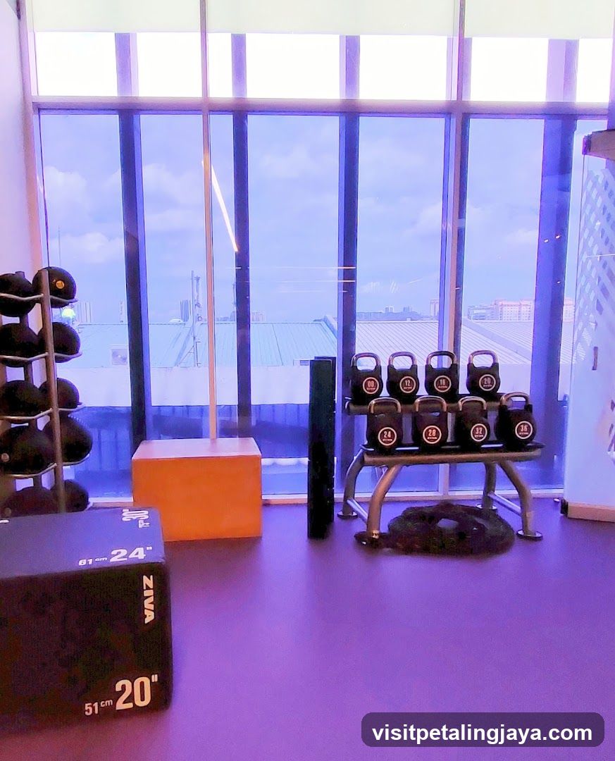 Gym Interior with Equipment and City View