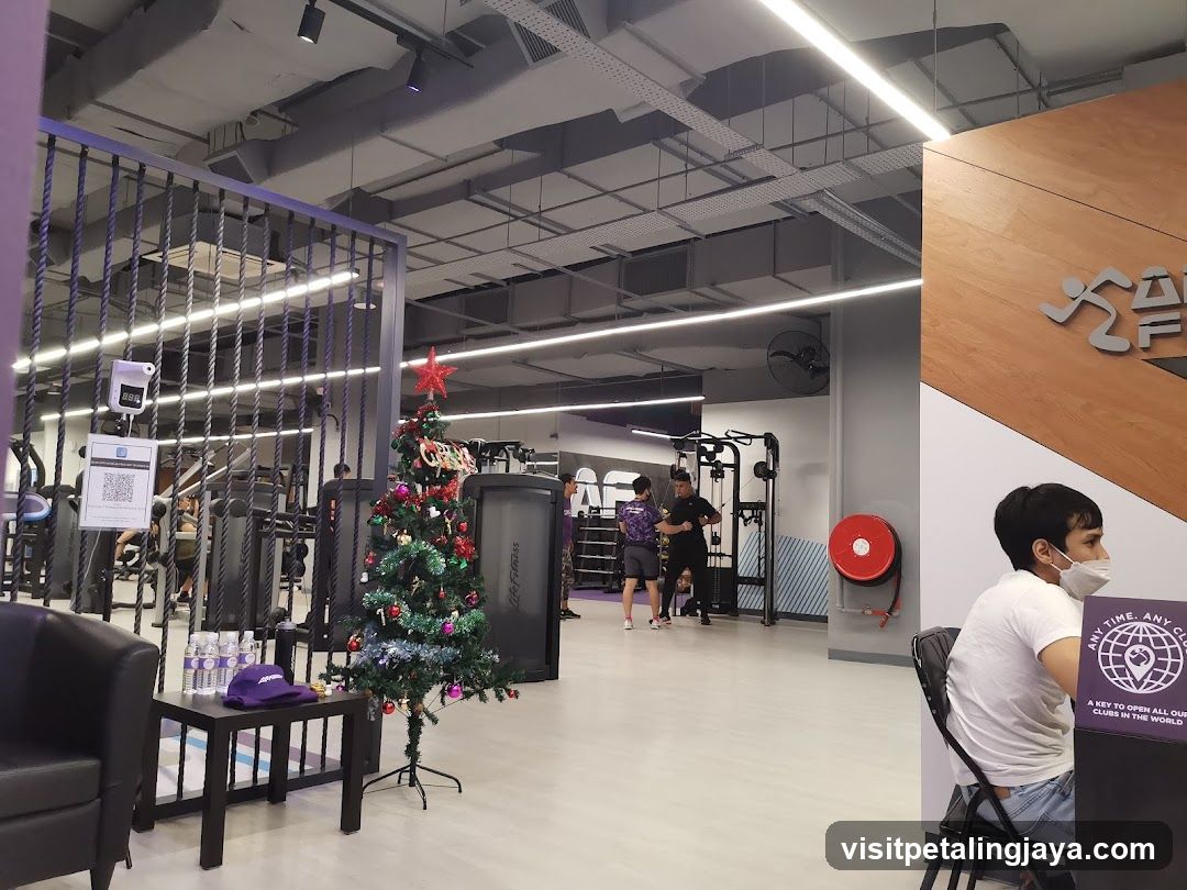 Gym Interior with Christmas Tree
