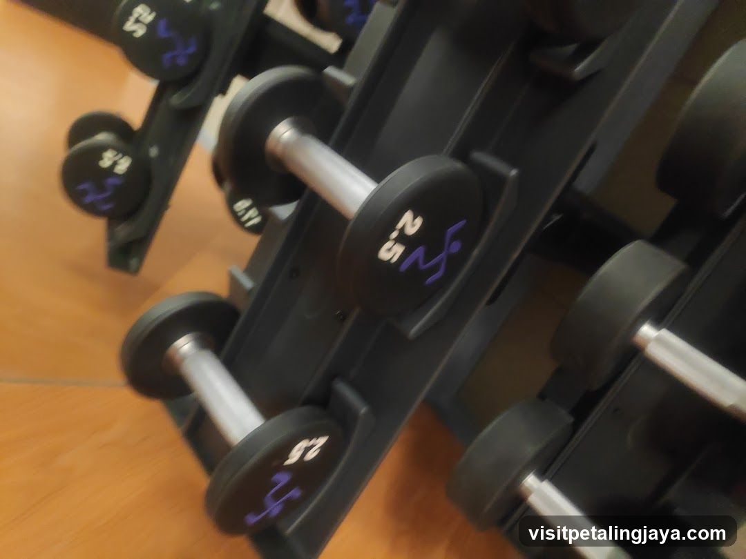 Dumbbell Rack in Gym