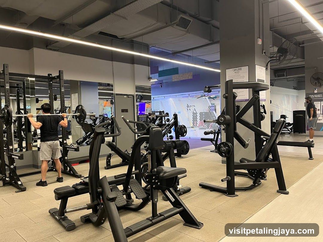 Gym Interior with Weight Machines
