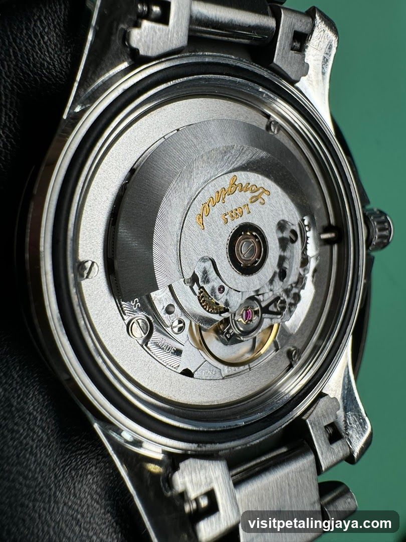Watch Movement Close-up