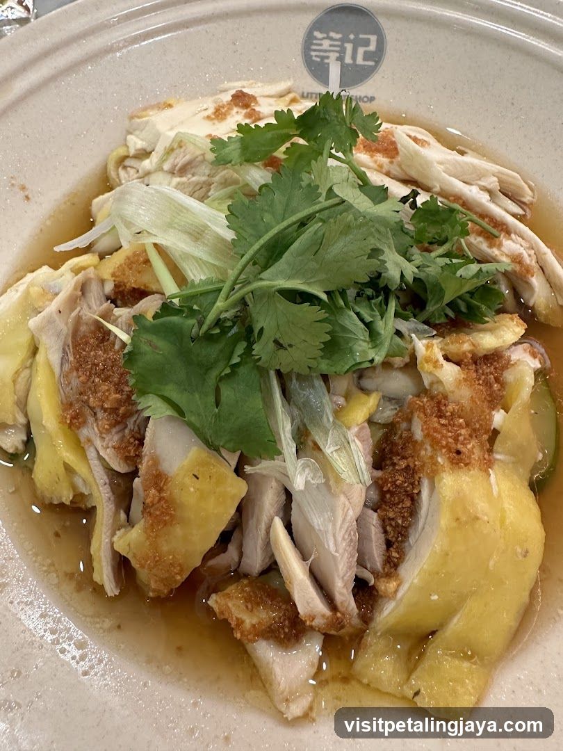 Chicken dish with cilantro garnish
