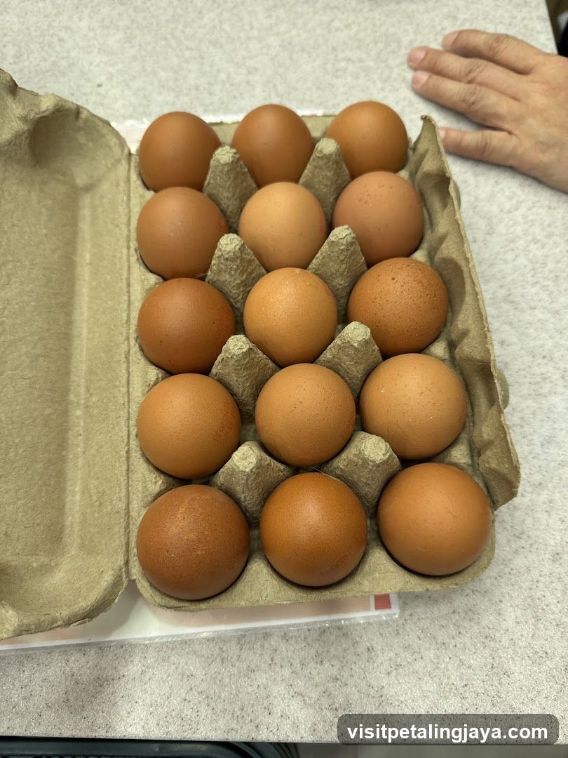 Eggs in Carton