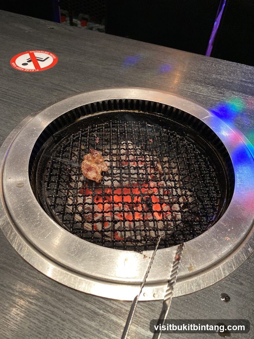 Grill with Meat