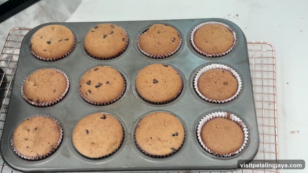 Baked Cupcakes in Tray