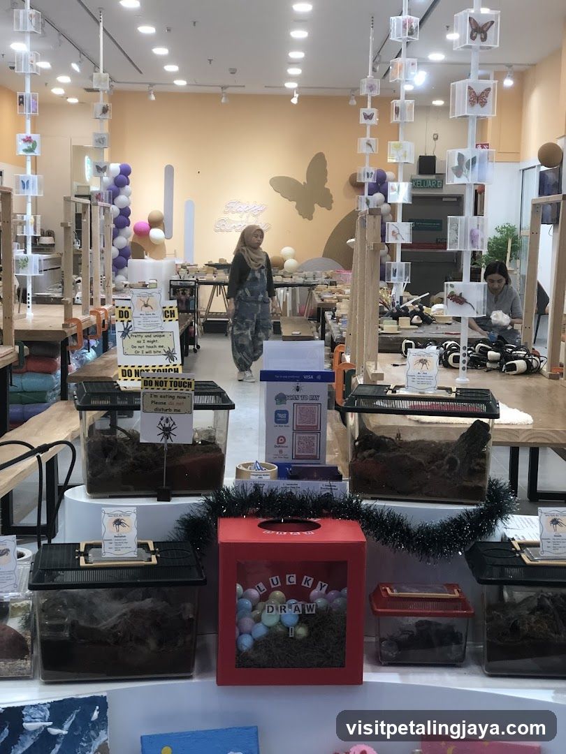 Insect Exhibit Shop Interior