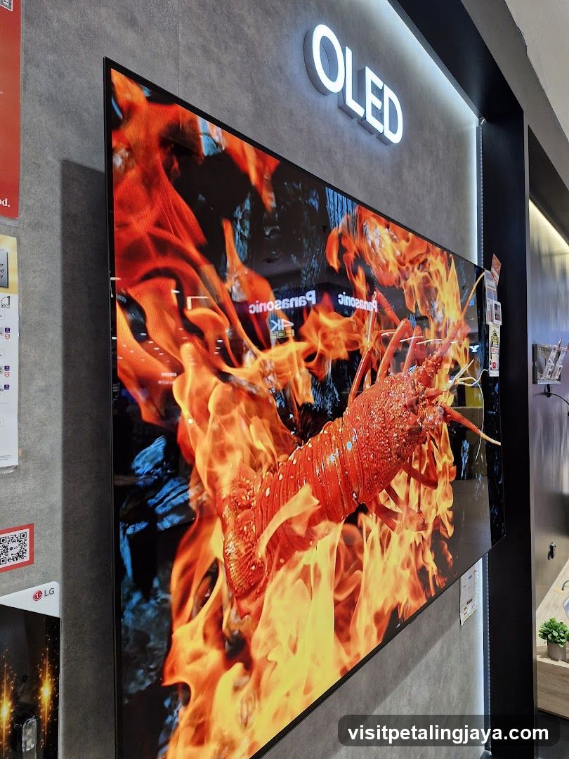 OLED TV Display