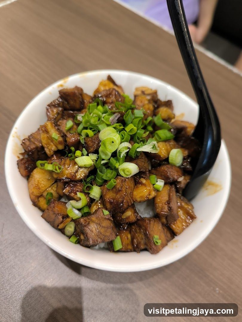 Braised Pork Bowl with Green Onions
