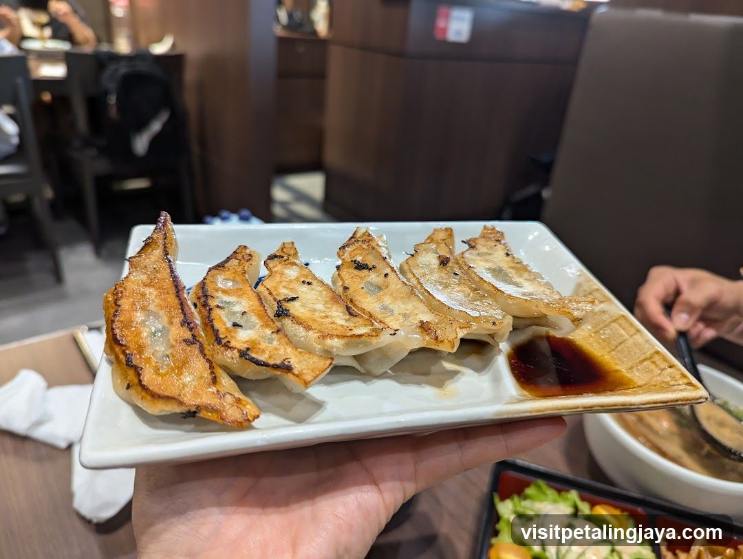 Gyoza Plate