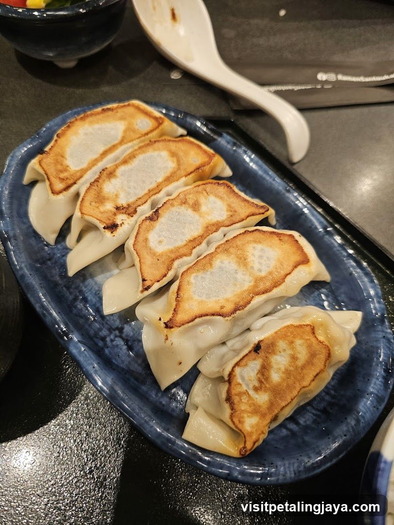 Gyoza on Blue Plate