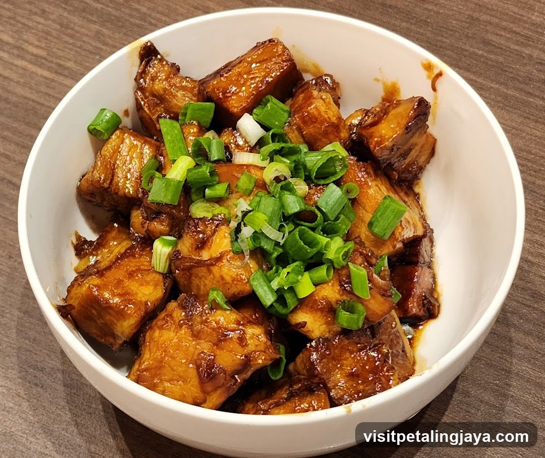 Braised Pork with Green Onions