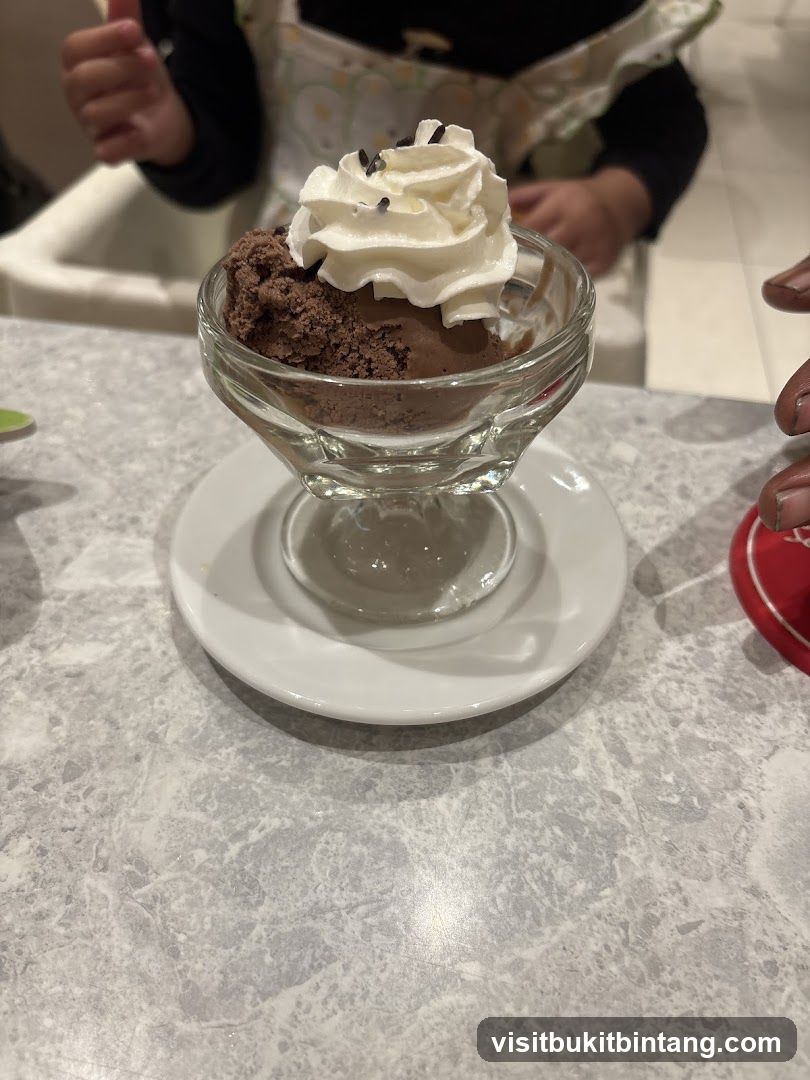 Chocolate Ice Cream Sundae