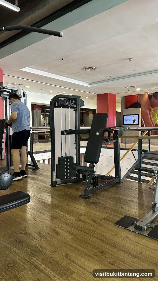Gym Interior with Weight Machines
