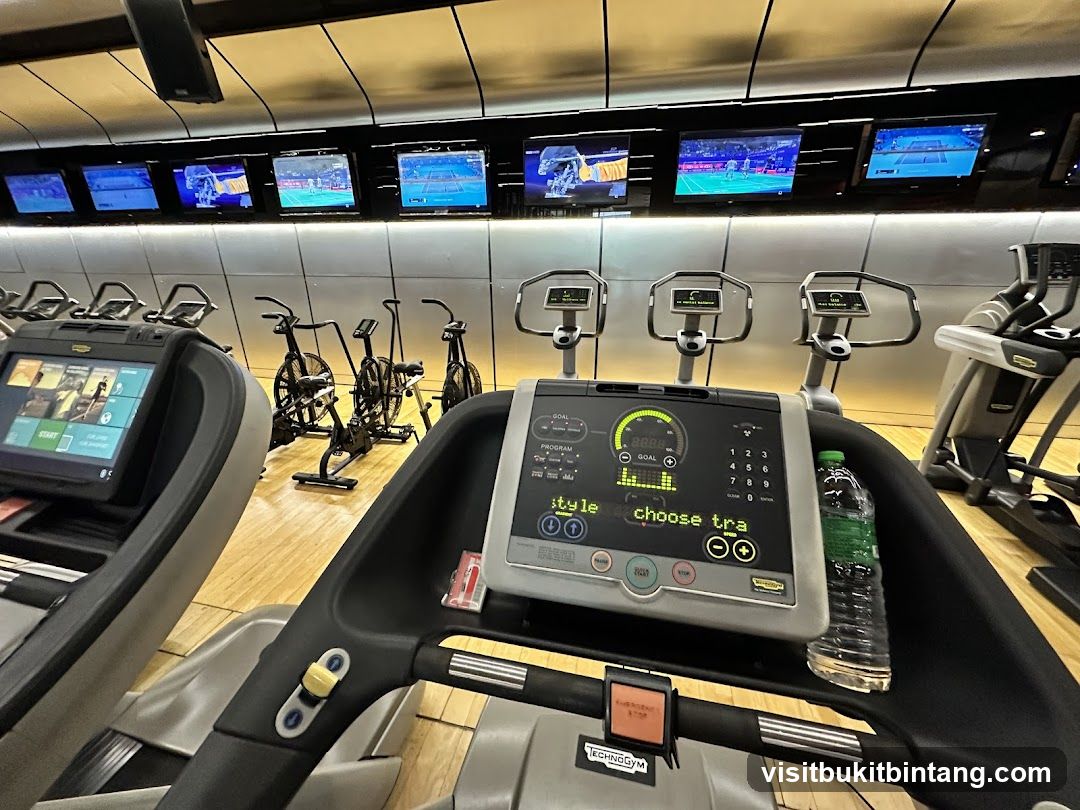 Gym Equipment