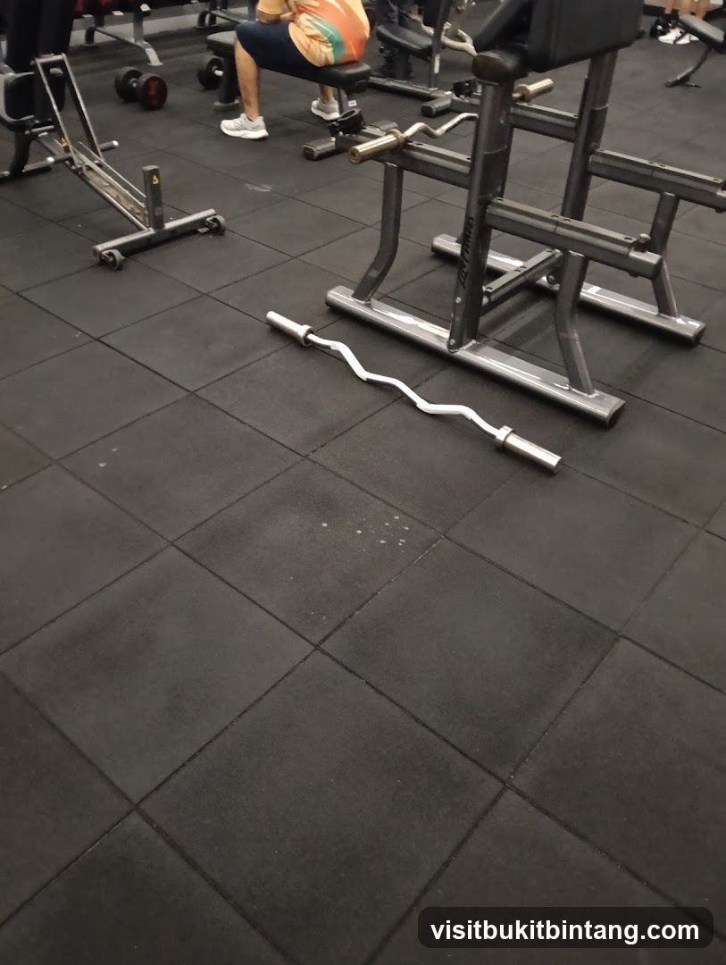 Gym Equipment