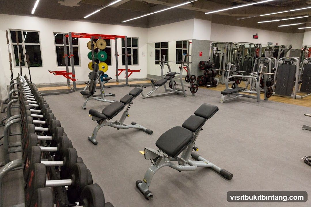 Gym Equipment