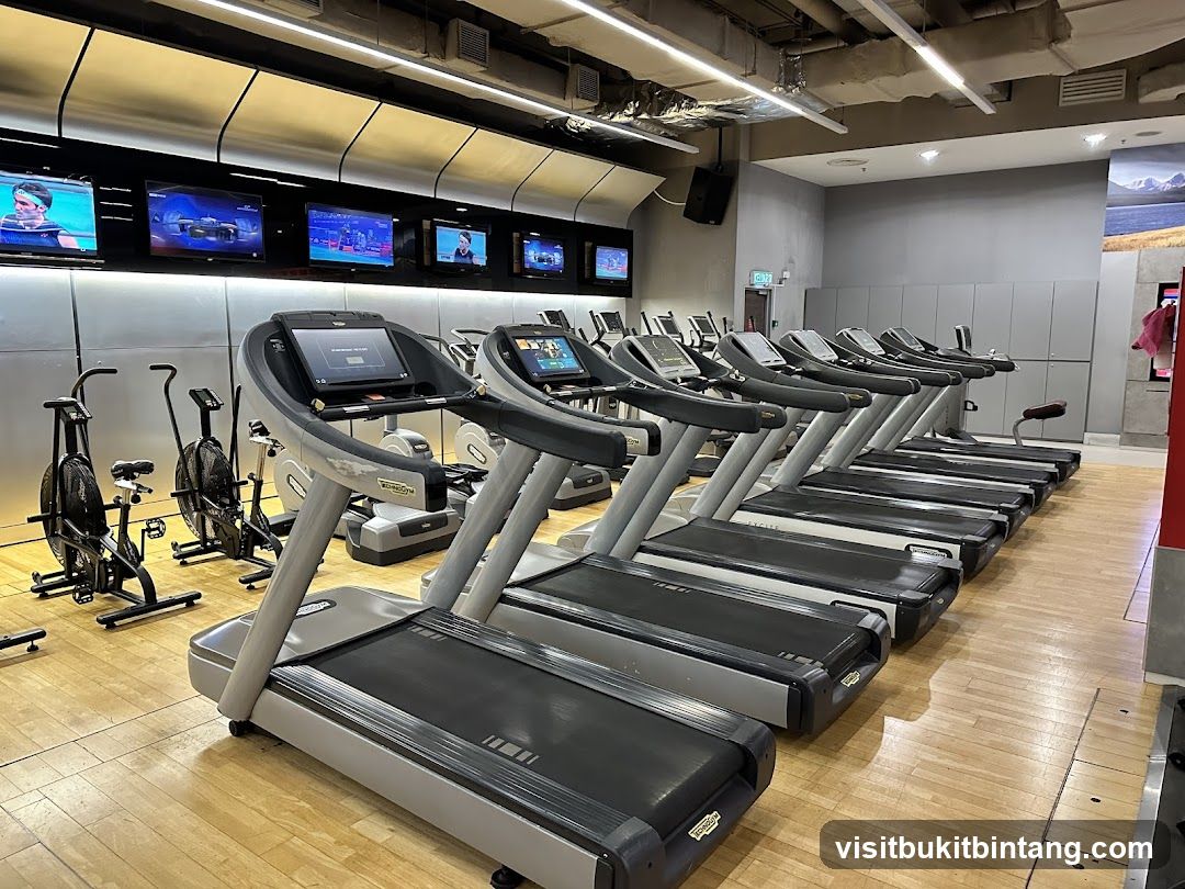 Gym Treadmills and Air Bikes