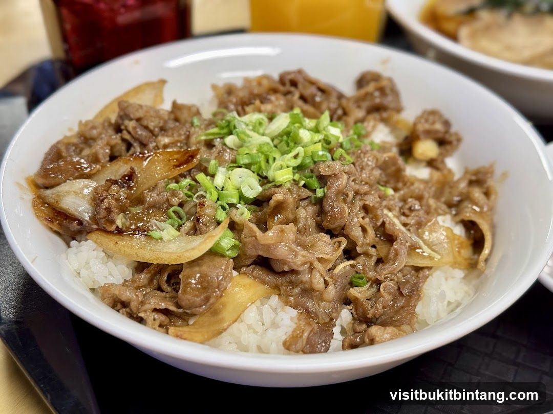 Beef and Onion Rice Bowl