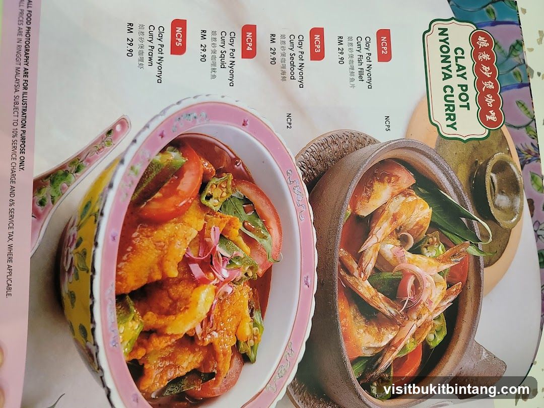 CLAY POT NYONYA CURRY