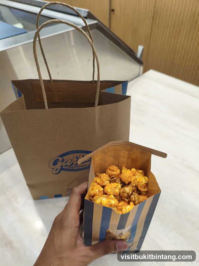 Popcorn Bag