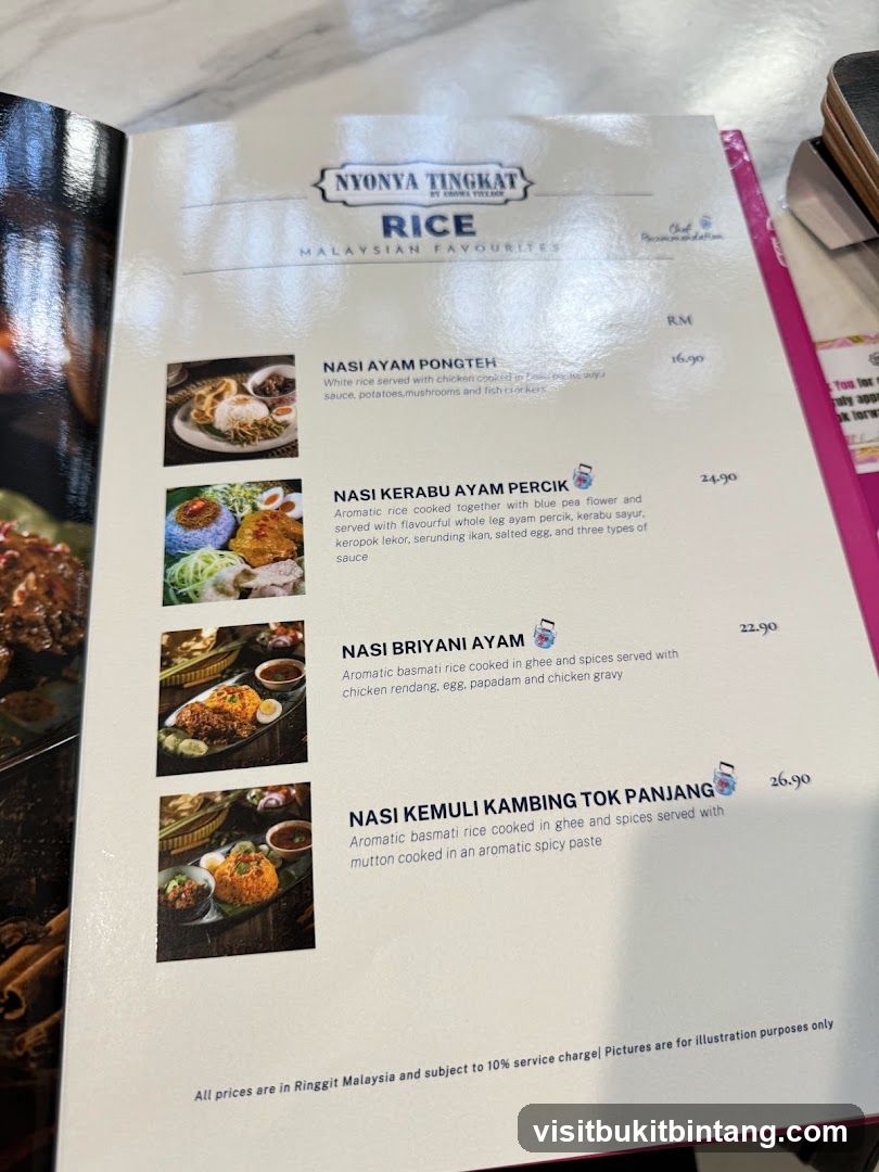 NYONYA TINGKAT RICE MALAYSIAN FAVOURITES