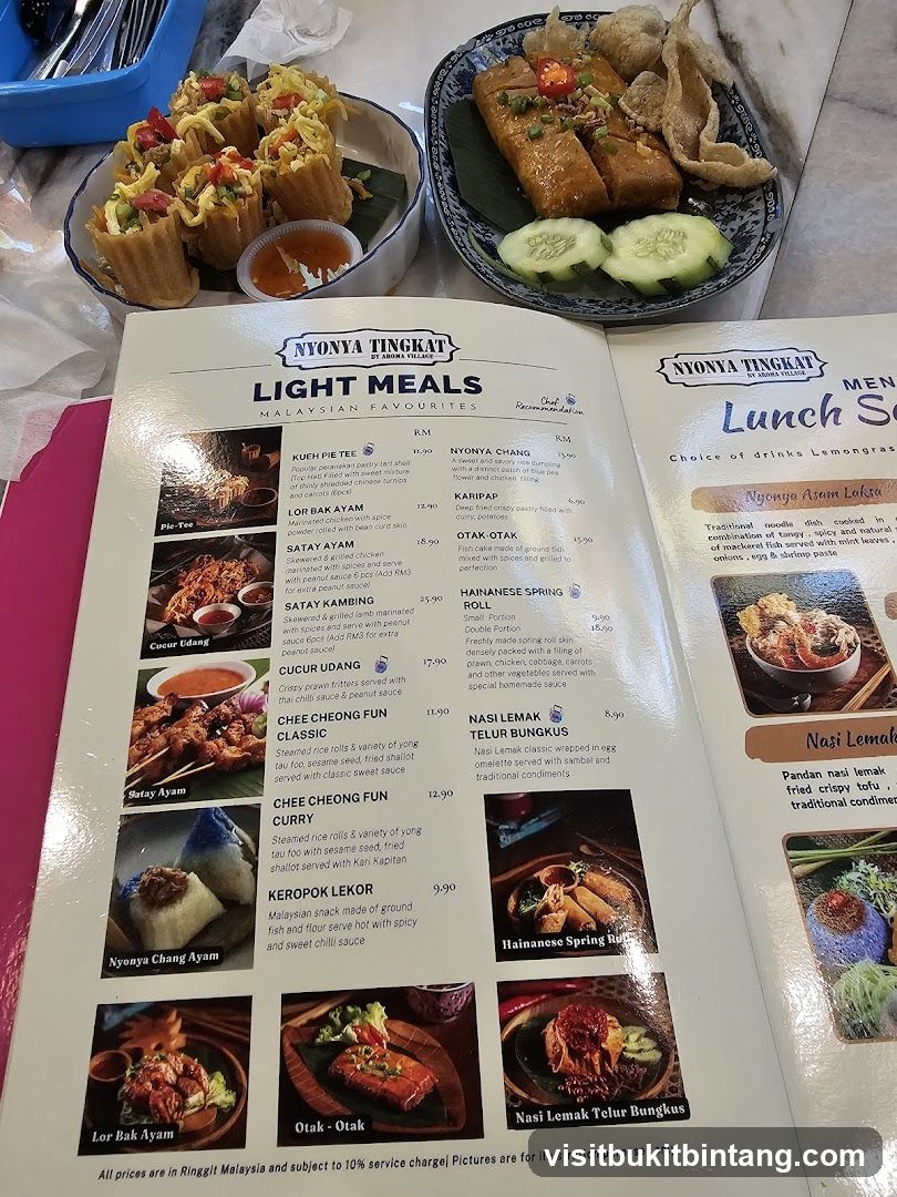 NYONYA TINGKAT LIGHT MEALS MALAYSIAN FAVOURITES