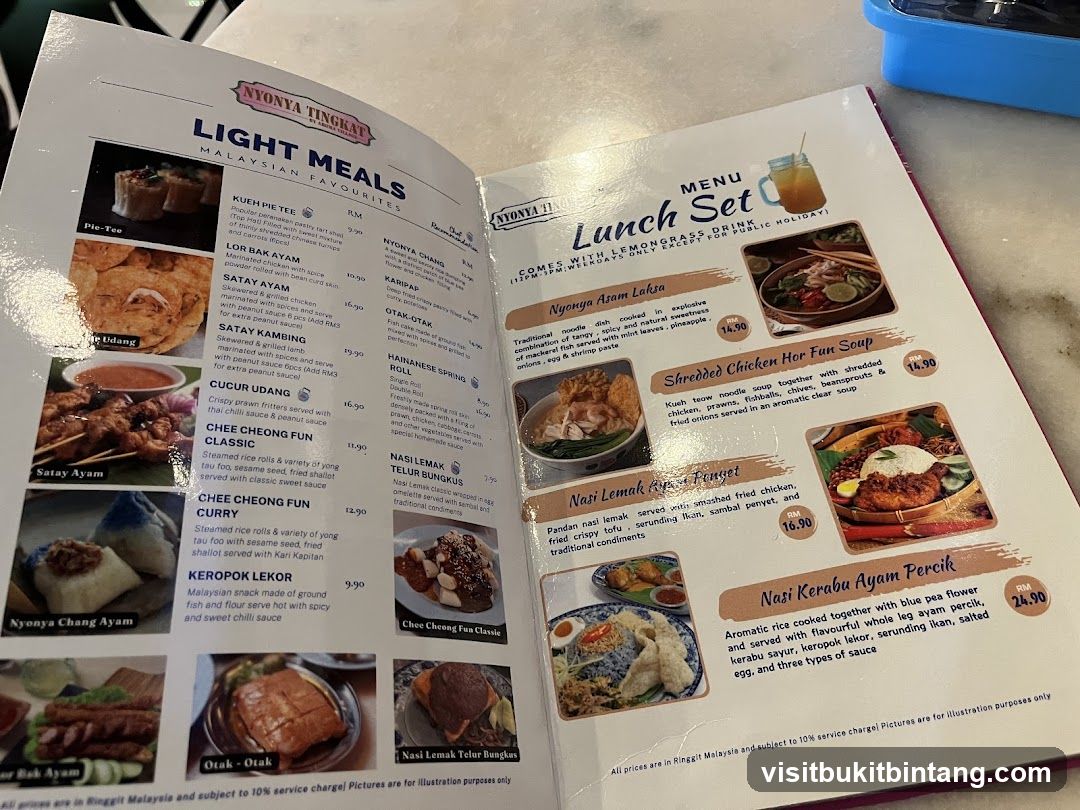 NYONYA TINGKAT LIGHT MEALS MALAYSIAN FAVOURITES