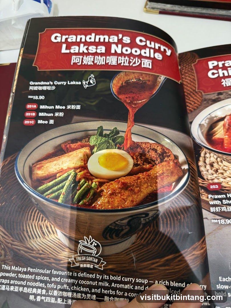 Grandma's Curry Laksa Noodle