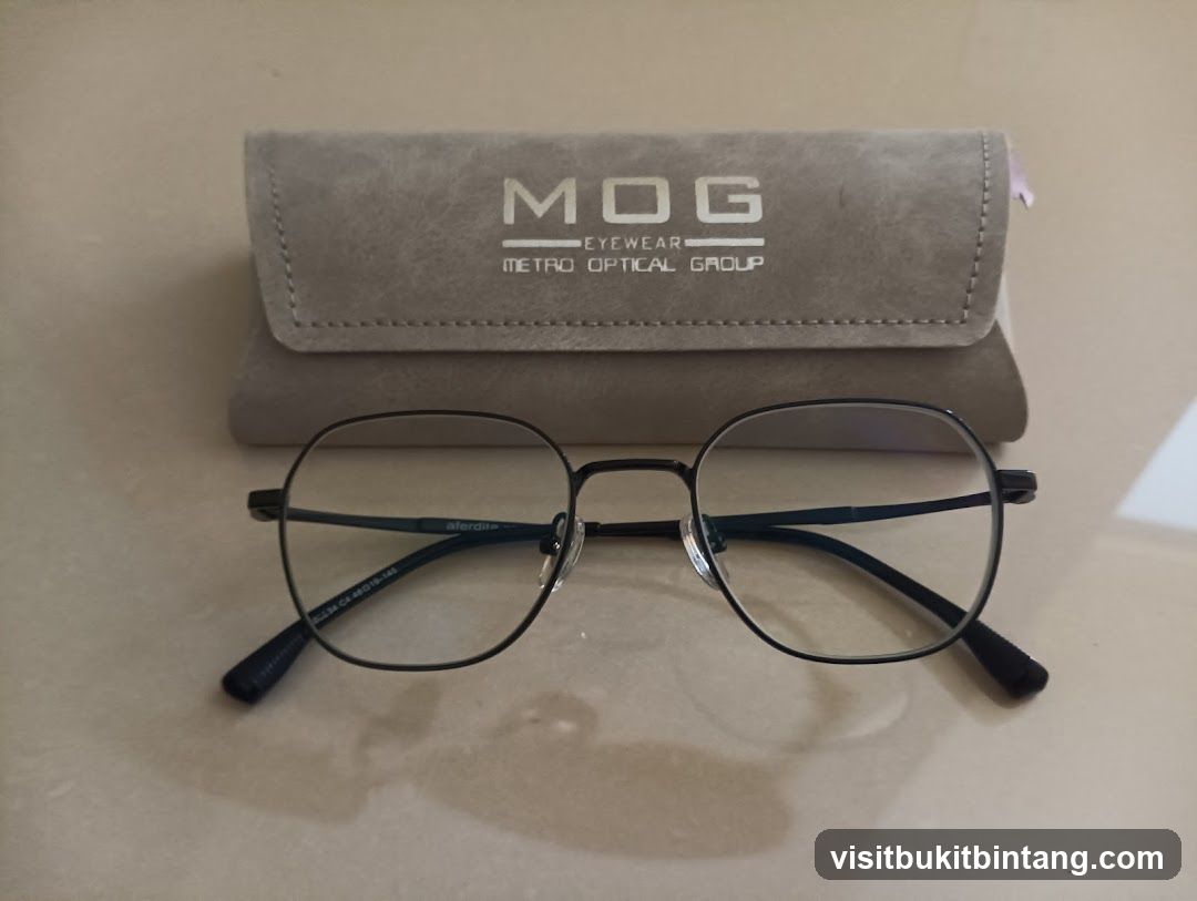 Eyeglasses and Case