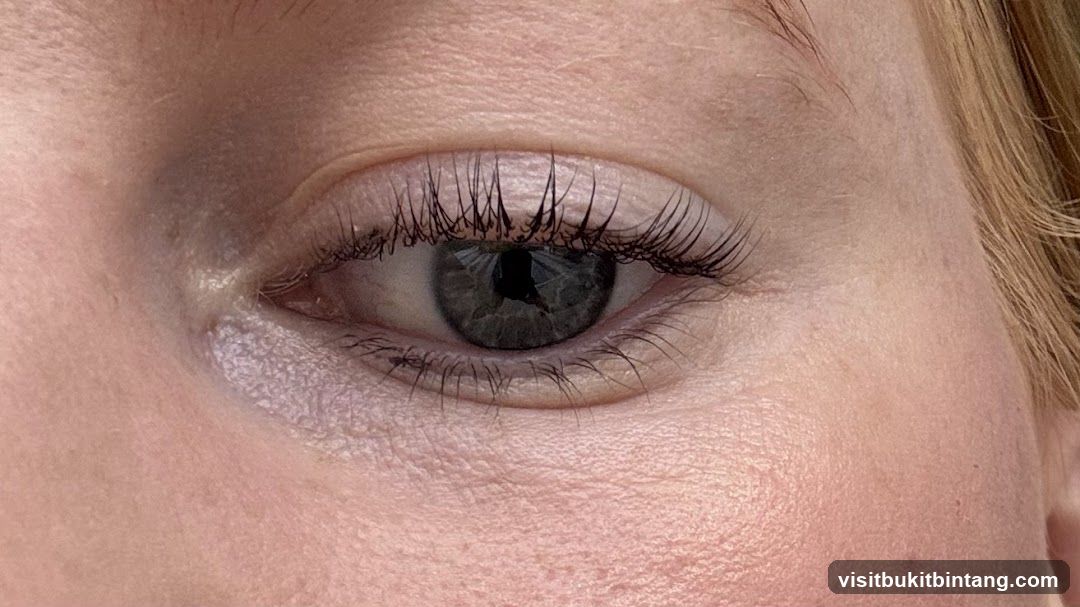 Close-up of a person's eye