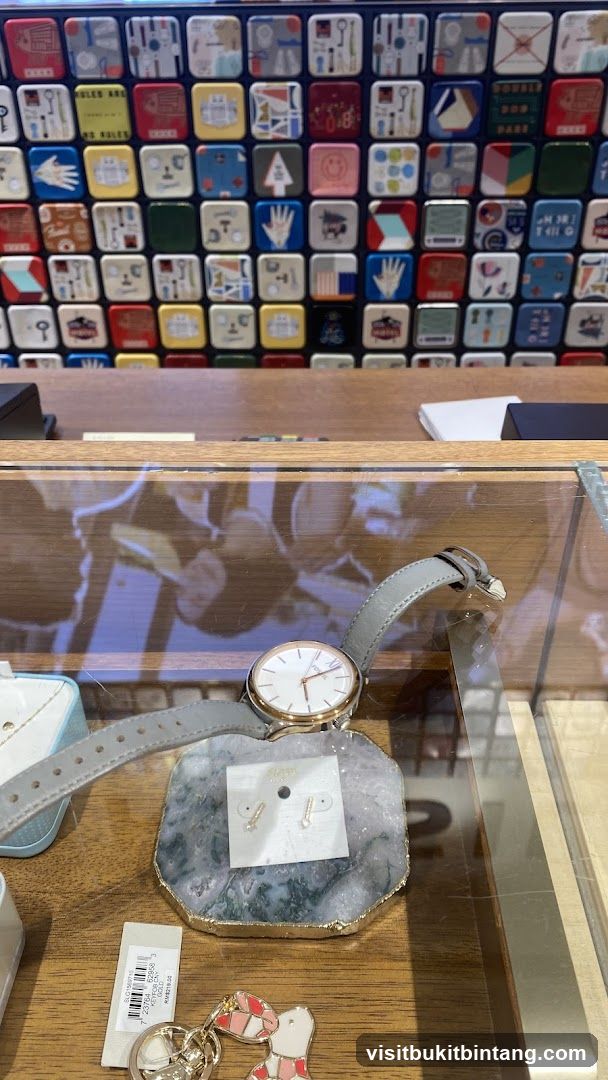 Display case with watch and earrings