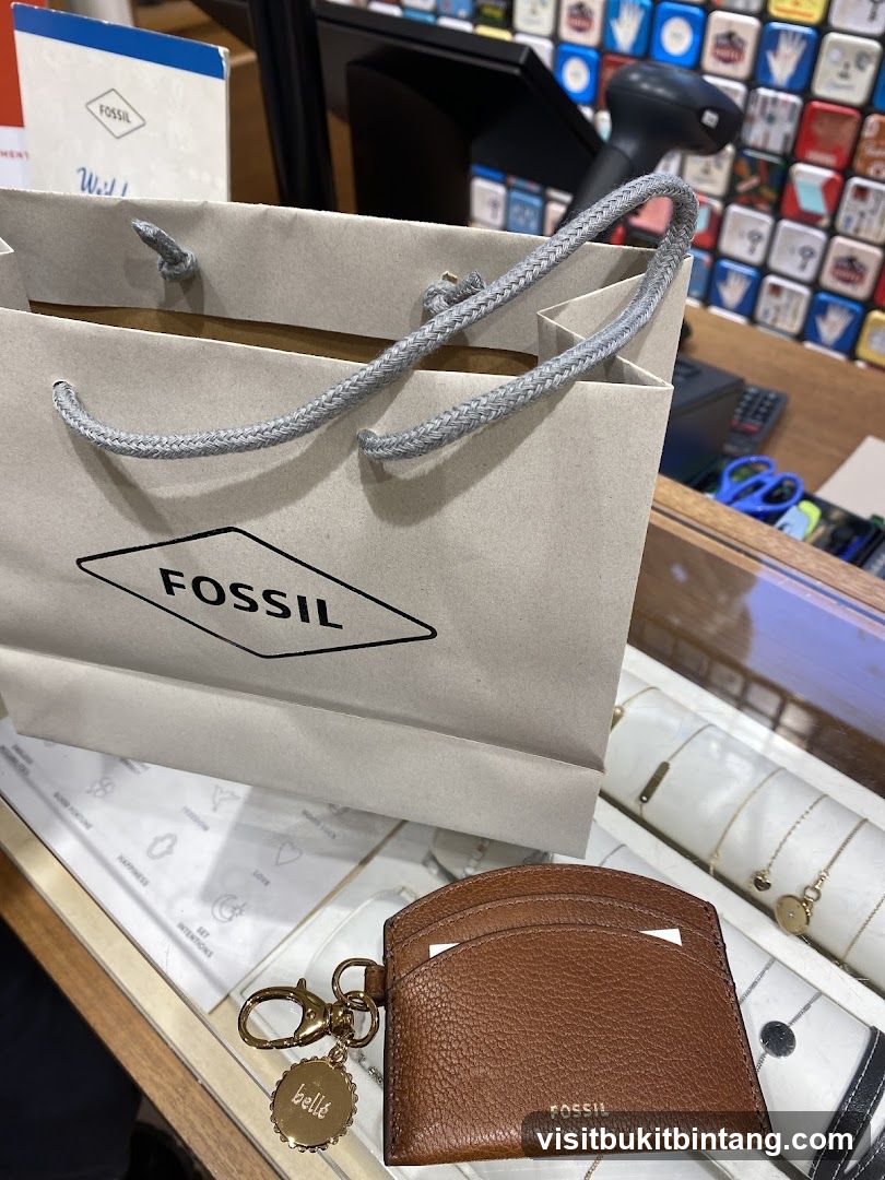 Fossil Shopping Bag and Cardholder