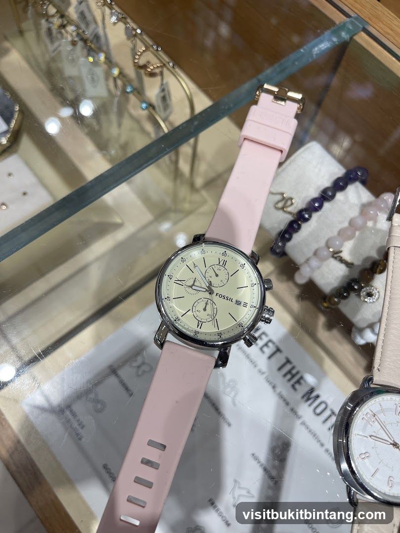 Fossil Watch Display