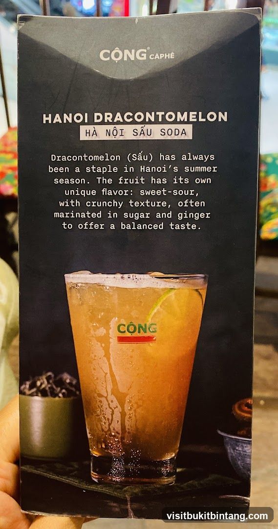 HANOI DRACONTOMELON