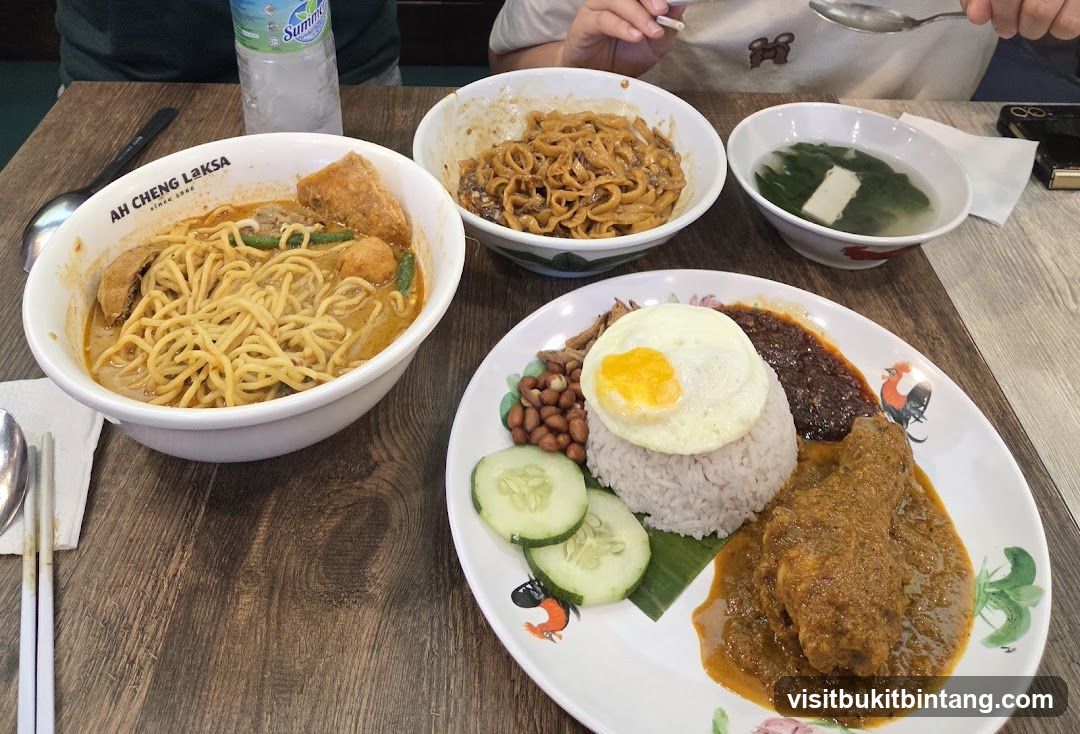 Nasi Lemak and Laksa