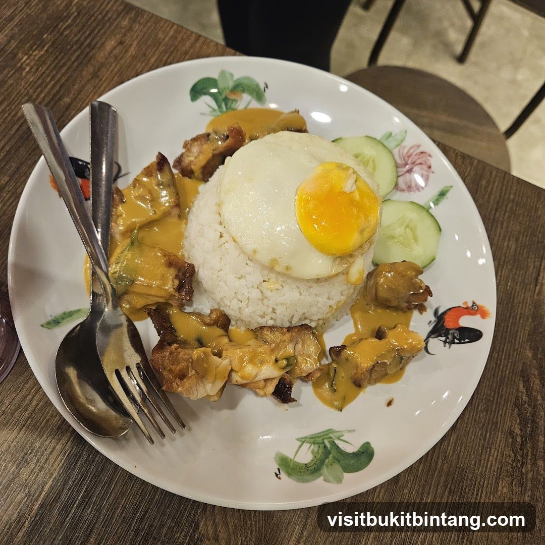 Curry Chicken Rice with Fried Egg
