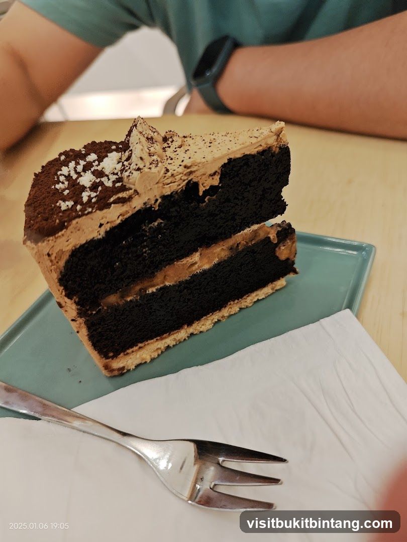 Chocolate Cake Slice