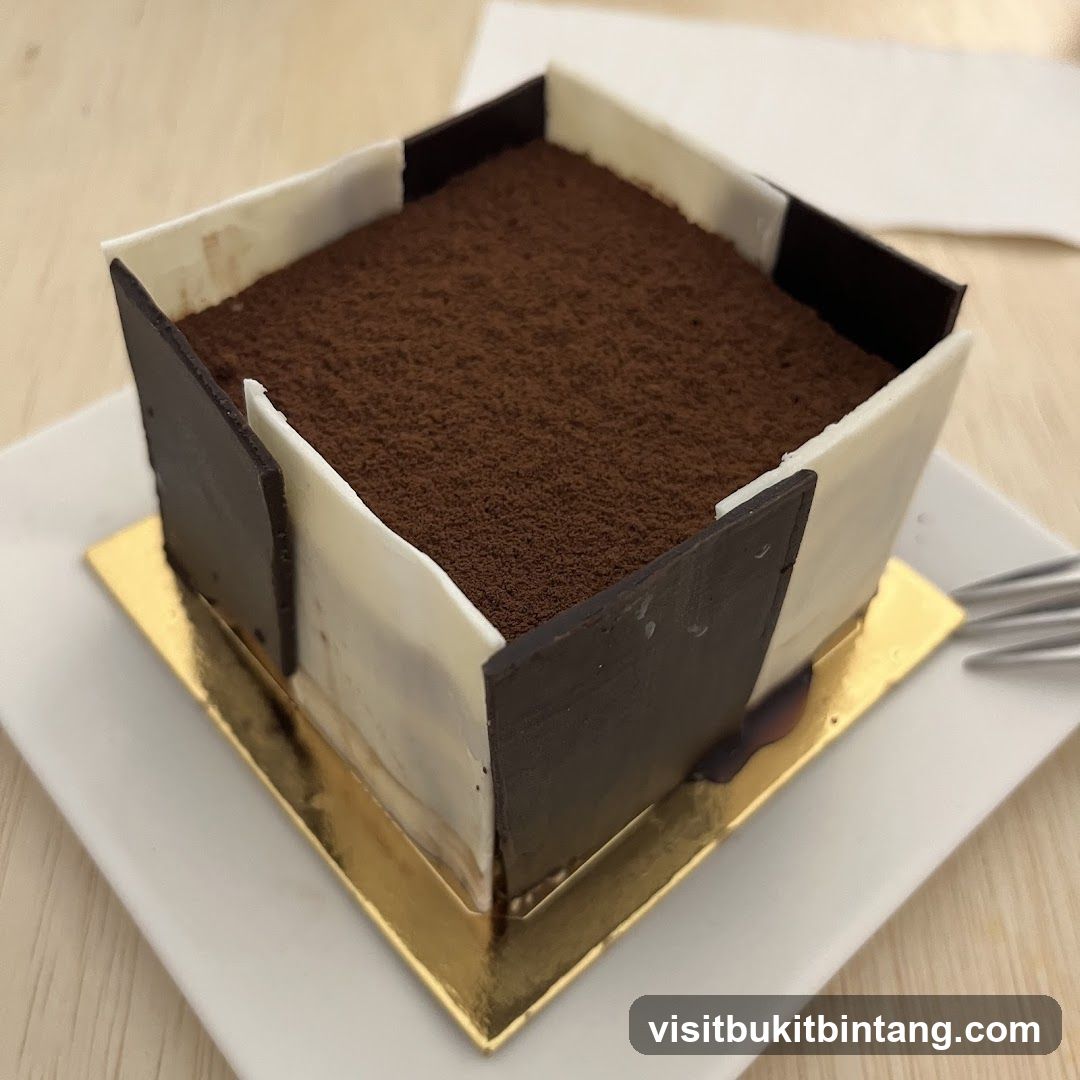 Chocolate Tiramisu Cake