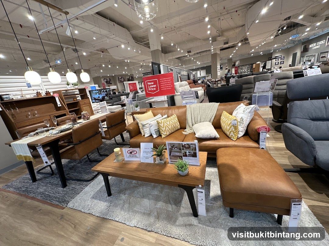 Furniture Store Display