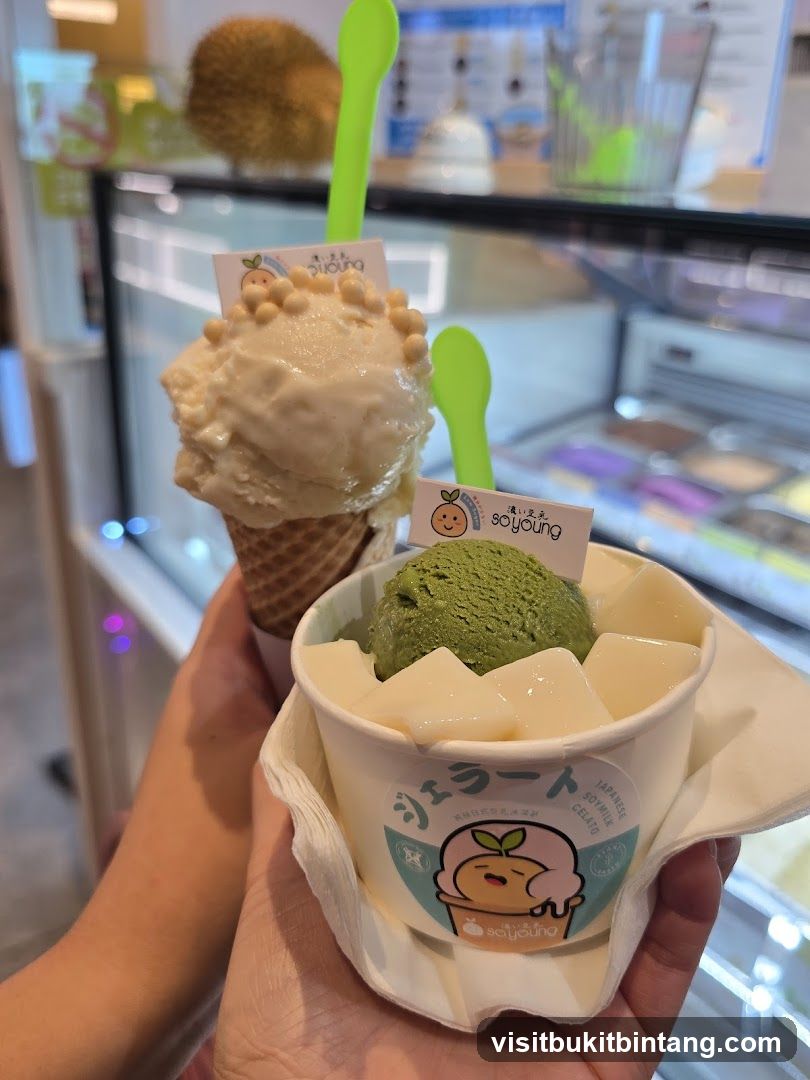Soyoung Japanese Soymilk Gelato
